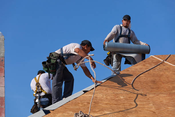 Best Metal Roofing Contractor  in Leadville North, CO